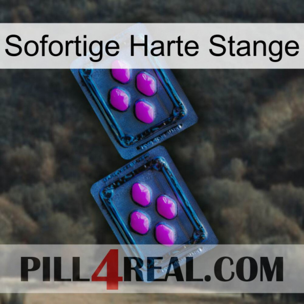 Instant Hard Rod 03.jpg